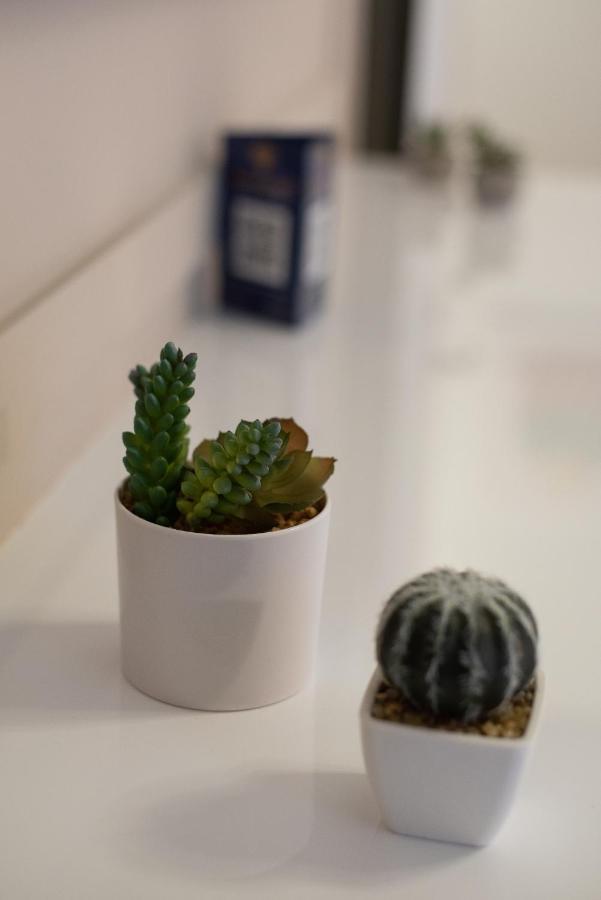 Medluxe Cozy Apartment! أثينا المظهر الخارجي الصورة